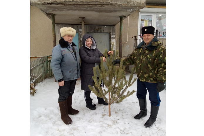 Казаки в селе Уйском Челябинской области дарят елки Казаки в селе Уйском Челябинской области дарят елки