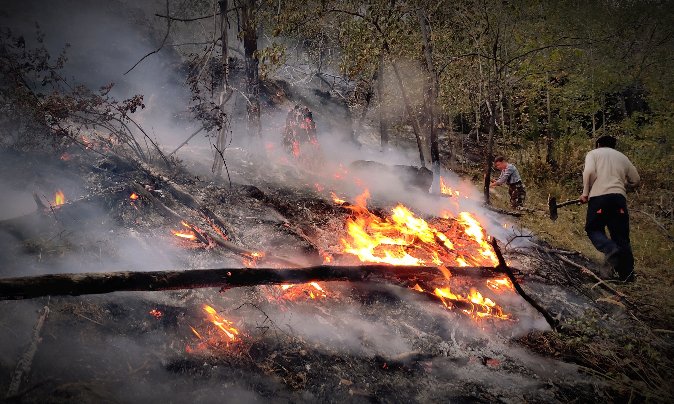 Сильные пожары вновь полыхают на юго-западе Второго военного казачьего отдела